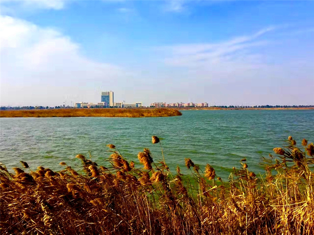 謇公湖畔的校园，到底是一种怎样的存在